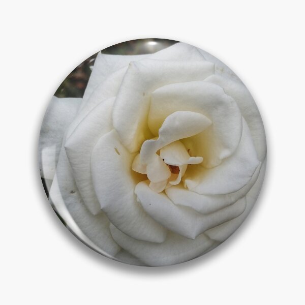 Item preview, White Angular Rose  designed and sold by The Rage Garden.