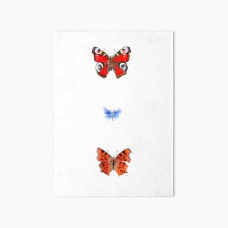 butterflies 1 Art Board Print