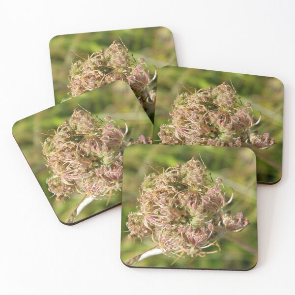 Item preview, Alien Looking Flower designed and sold by LoneAngel.