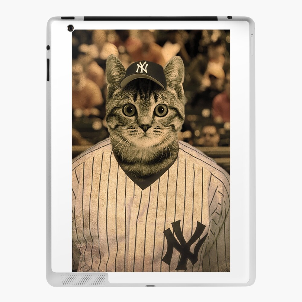Baseball cat (2) Photographic Print for Sale by Furry And Purry