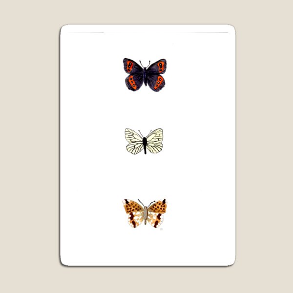 Item preview, butterflies 3 designed and sold by Creativecow.