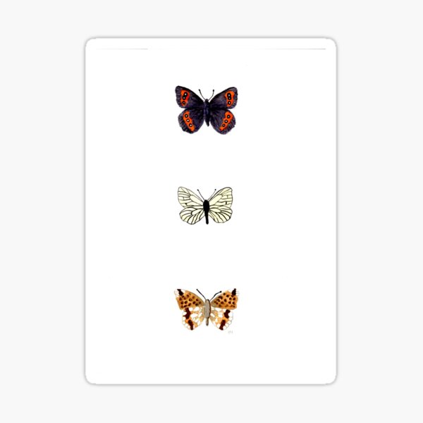 butterflies 3 Sticker
