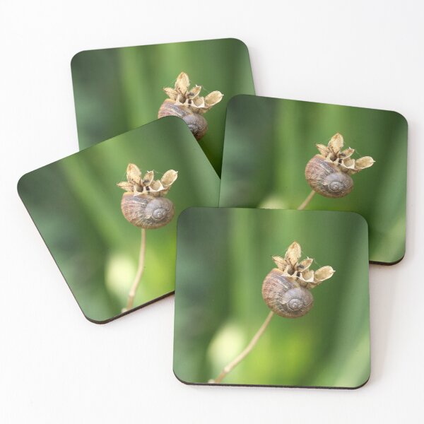 Item preview, Snail Arrangement I designed and sold by cuprum.