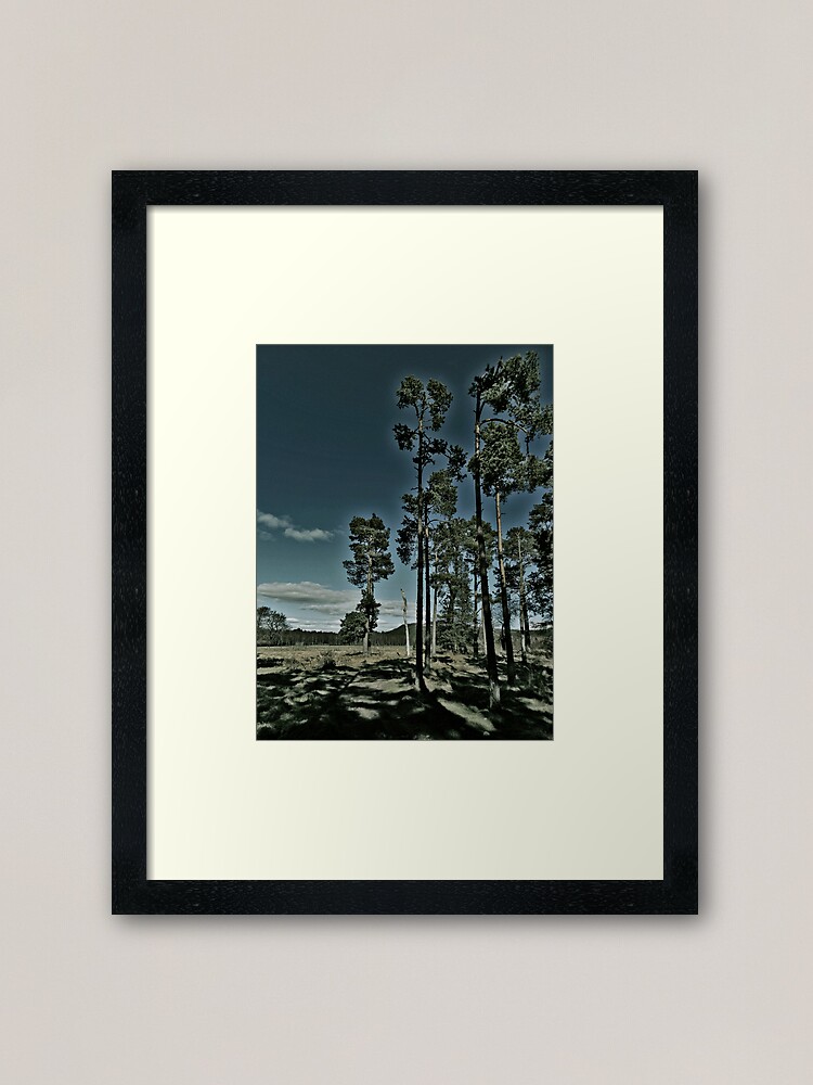 Alternate view of Aviemore Pines Framed Art Print