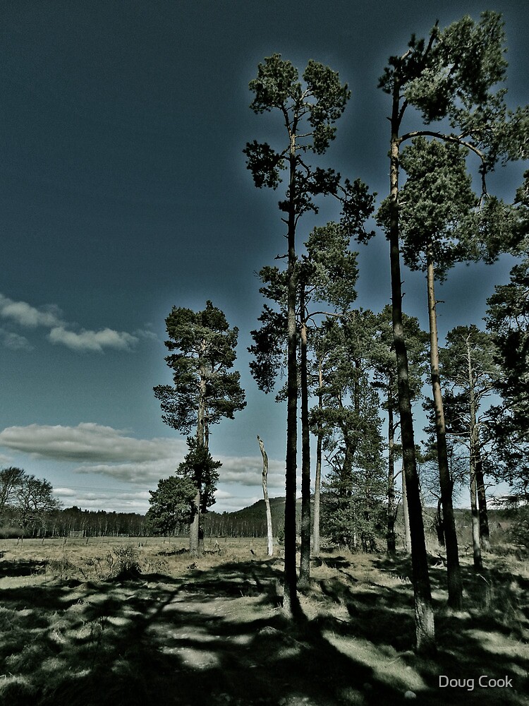 Aviemore Pines by DougCook