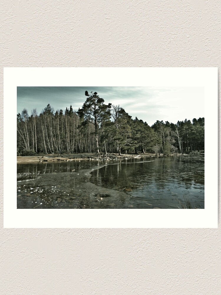 Alternate view of Frozen Loch an Eillen Aviemore Art Print