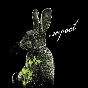 Artwork thumbnail, RESPECT! by Roland Straller