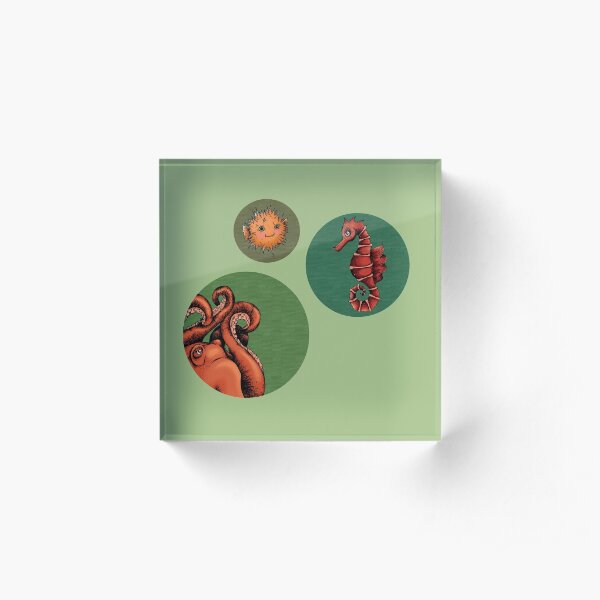 Sea creature bubbles Acrylic Block