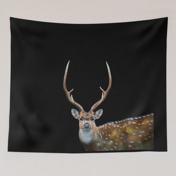 Item preview, Stagg con astas designed and sold by CathalDevlin.