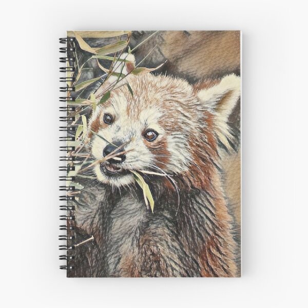 Item preview, Red Panda Having a Snack designed and sold by ReneeKennedy.