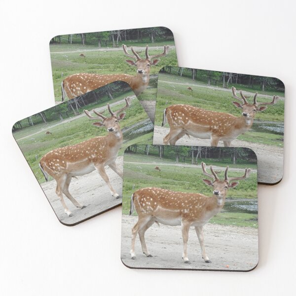 Item preview, Fallow deer in Quebec, Canada designed and sold by cuisinecat2.