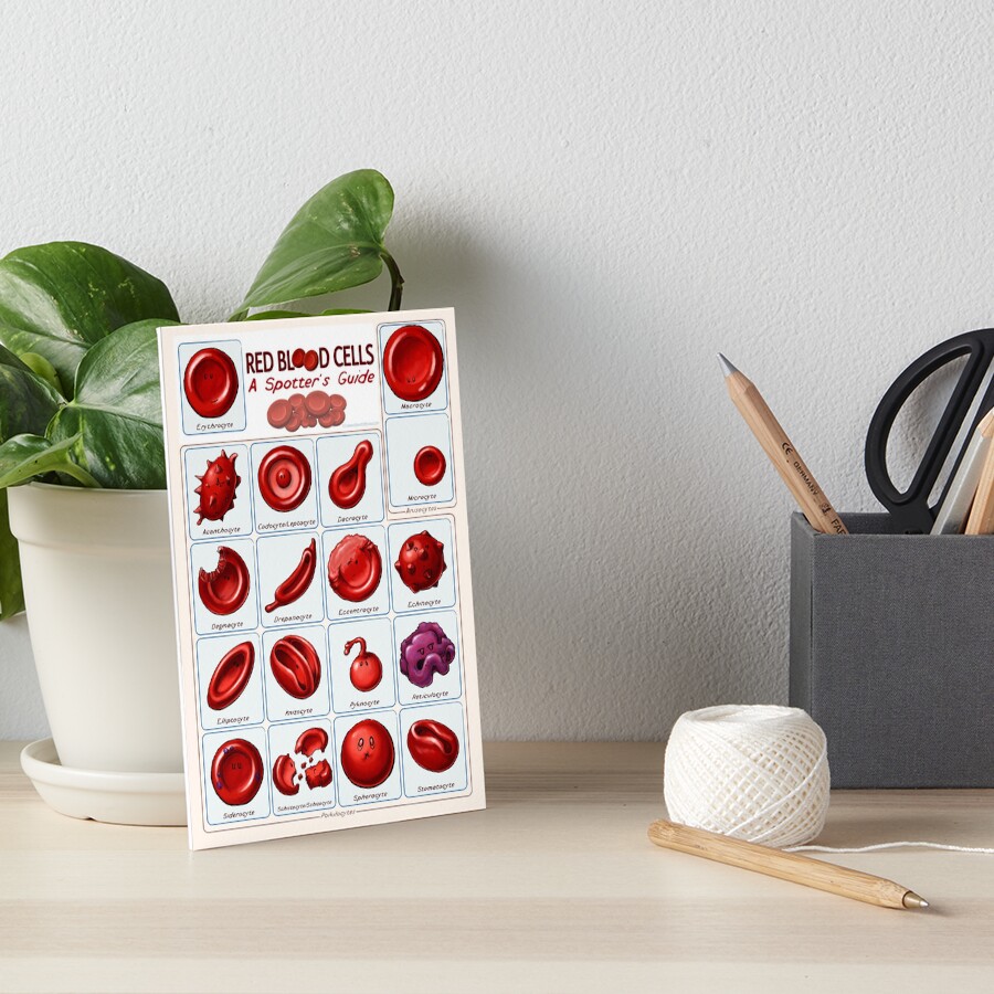 Item preview, Art Board Print designed and sold by DrawnToTheSea.