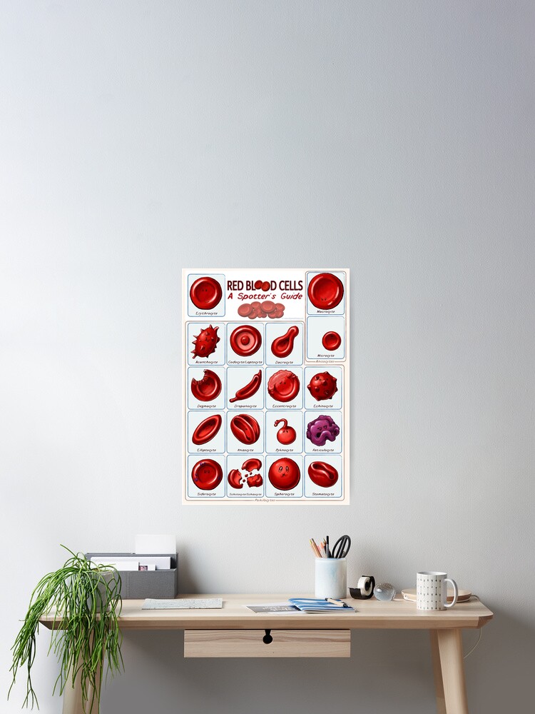 Thumbnail 2 of 3, Poster, Red blood cells designed and sold by DrawnToTheSea.