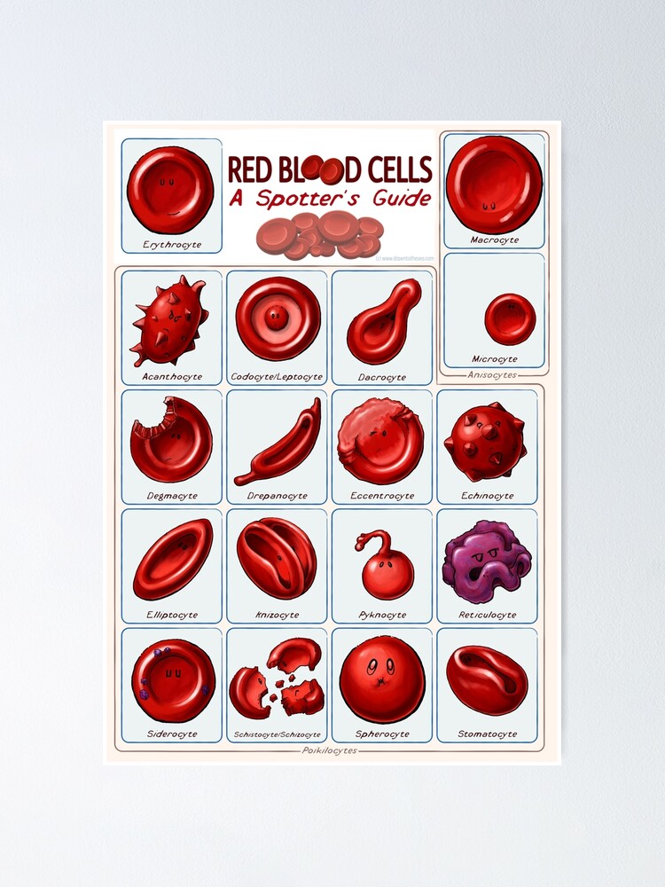 Thumbnail 1 of 3, Poster, Red blood cells designed and sold by DrawnToTheSea.