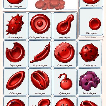 Artwork thumbnail, Red blood cells by John Chilton