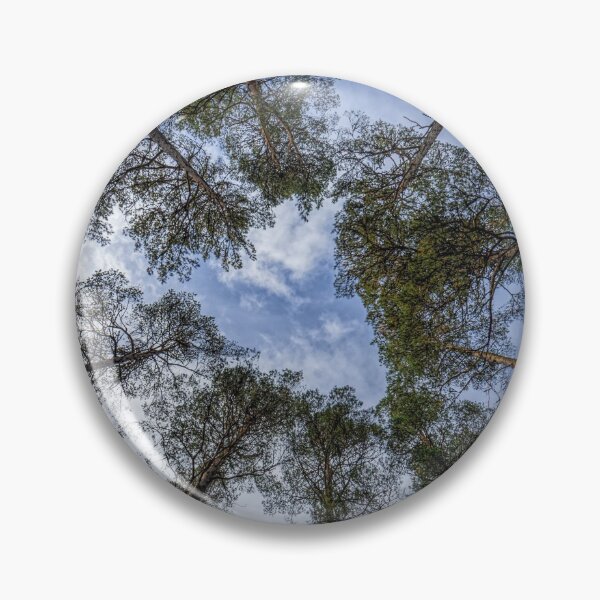 Item preview, Opening in tree canopy designed and sold by iCimages.net.
