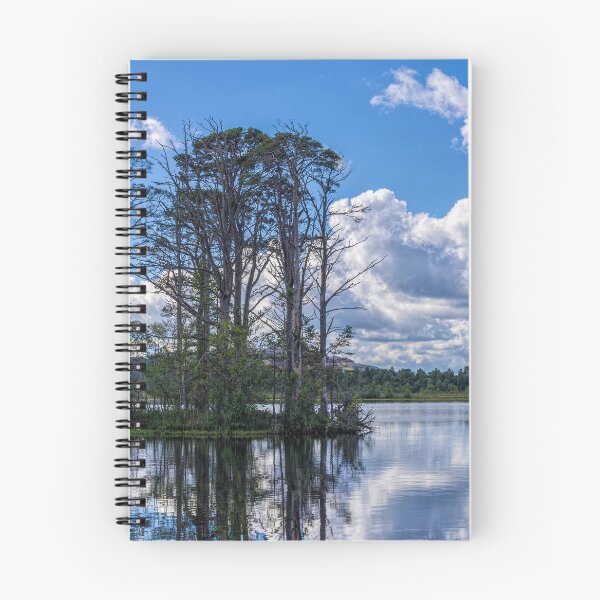 Item preview, Loch Gamhna in Aviemore Cairngorms National Park Scotland. designed and sold by iCimages.net.