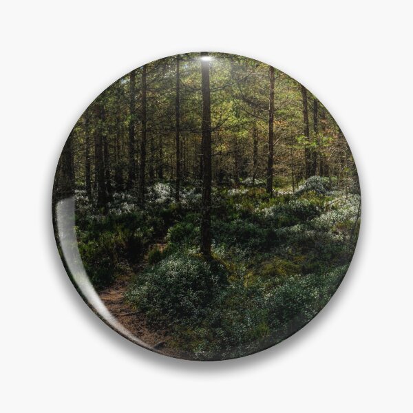 Item preview, Aviemore woodland in the Cairngorms National Park. designed and sold by iCimages.net.