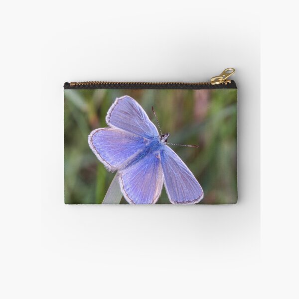 Item preview, Common blue butterfly designed and sold by iCimages.net.