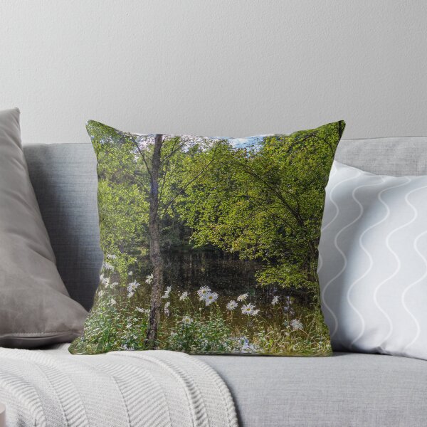 Item preview, Aviemore woodland in the Cairngorms National Park. designed and sold by iCimages.net.