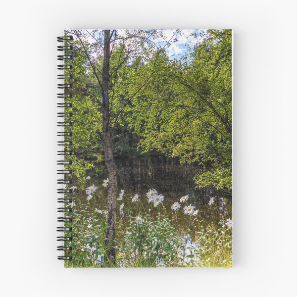 Item preview, Aviemore bosque en el Parque Nacional de Cairngorms. designed and sold by iCimages.net.