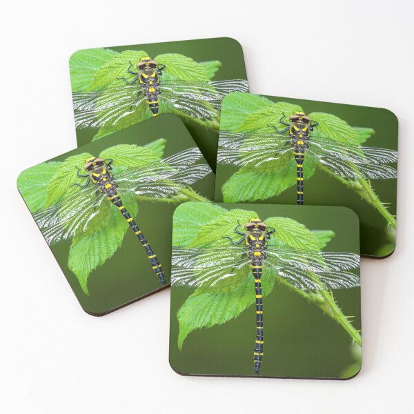 Item preview, Golden ringed dragonfly designed and sold by iCimages.net.