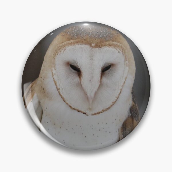 Item preview, Igor the Barn Owl designed and sold by Michelle Garlock.