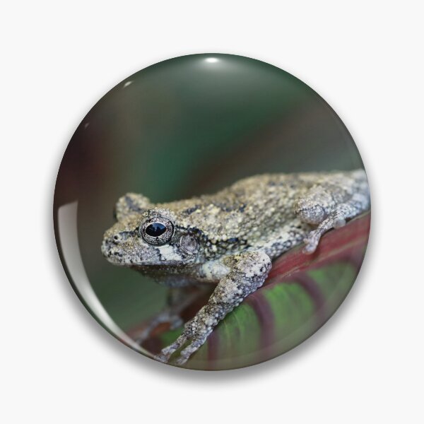 Item preview, Gray Tree Frog designed and sold by StampCity.