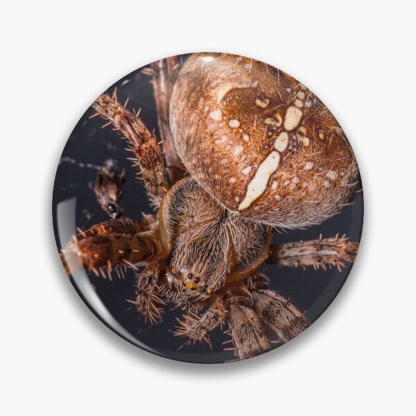 Item preview, Garden orb spider designed and sold by iCimages.net.