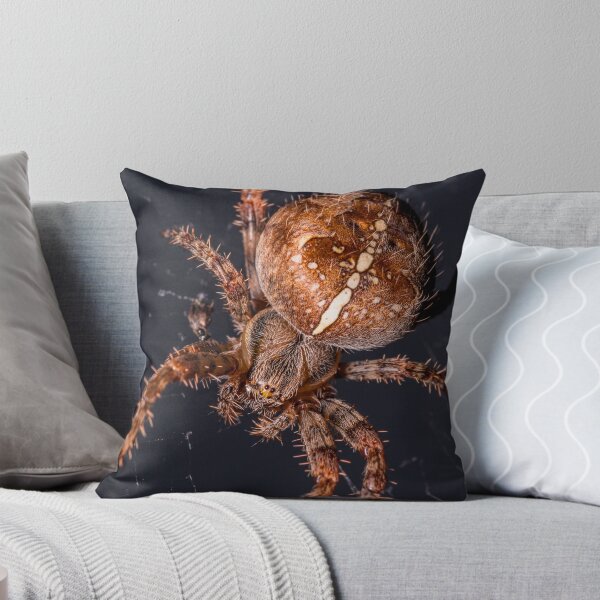 Item preview, Garden orb spider designed and sold by iCimages.net.
