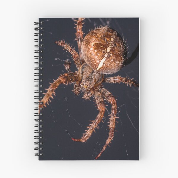 Item preview, Garden orb spider designed and sold by iCimages.net.