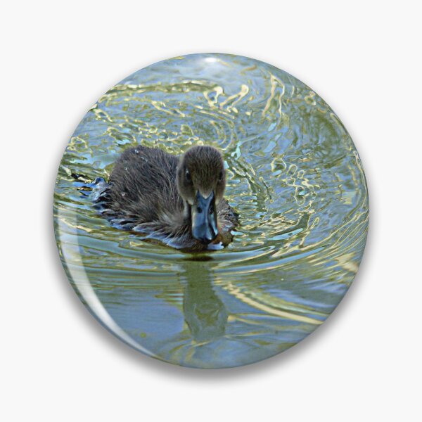 Item preview, Little Black Duckling Swimming designed and sold by Anna Lemos.