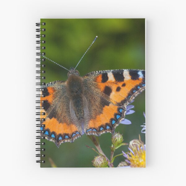 Item preview, Common tortoiseshell butterfly on a leaf in the summer.  designed and sold by iCimages.net.