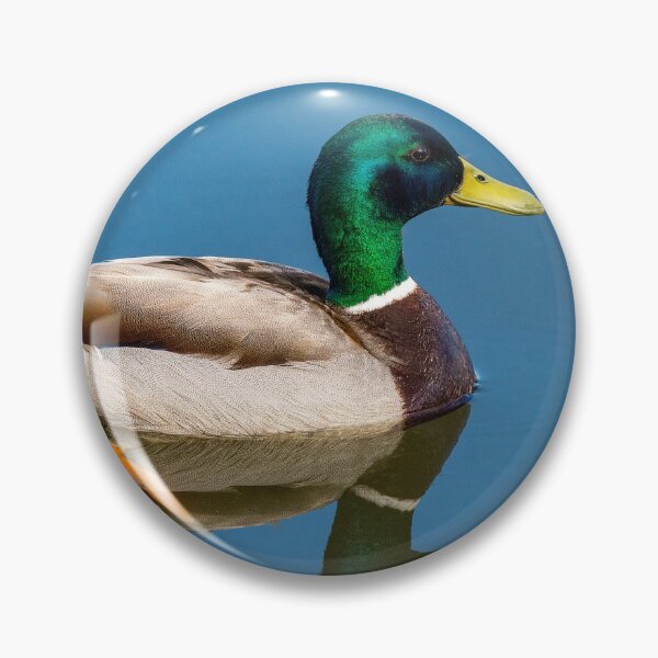 Item preview, Mallard drake duck on pond designed and sold by iCimages.net.