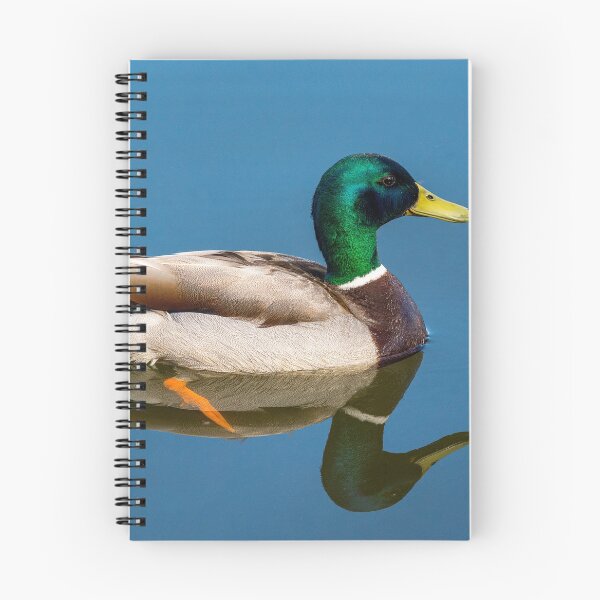 Item preview, Mallard drake duck on pond designed and sold by iCimages.net.