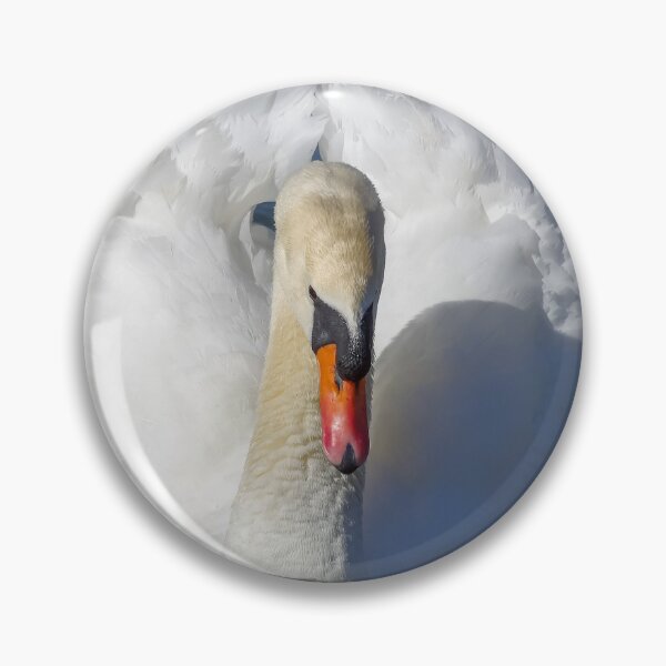 Item preview, Male mute white swan. designed and sold by iCimages.net.