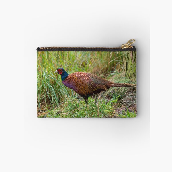 Item preview, Male Pheasant bird designed and sold by iCimages.net.