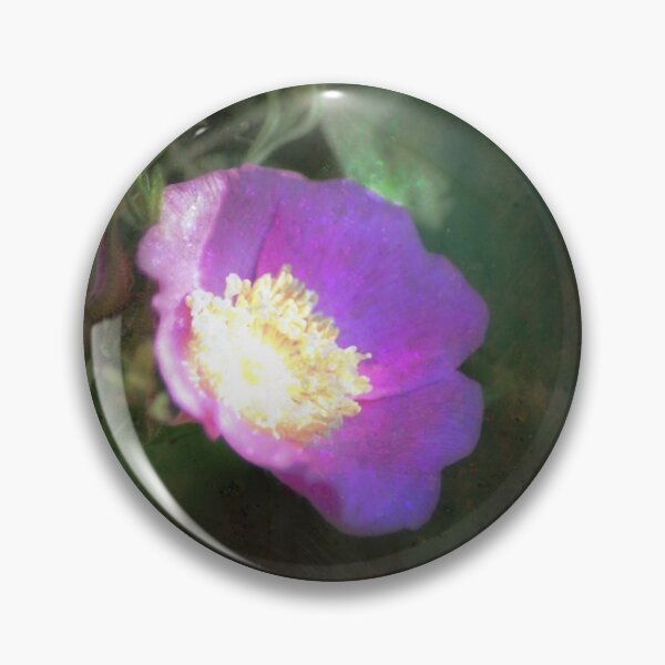 Item preview, glowing old fashioned rose elegance designed and sold by Dawna Morton.