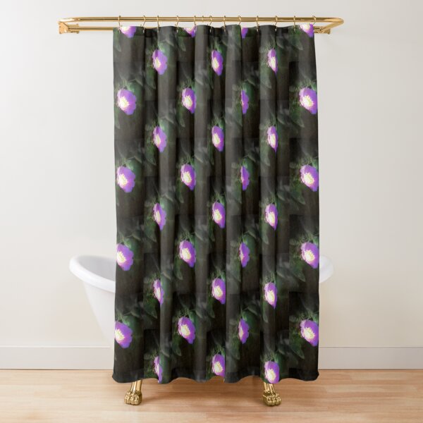 Item preview, glowing old fashioned rose elegance designed and sold by Dawna Morton.