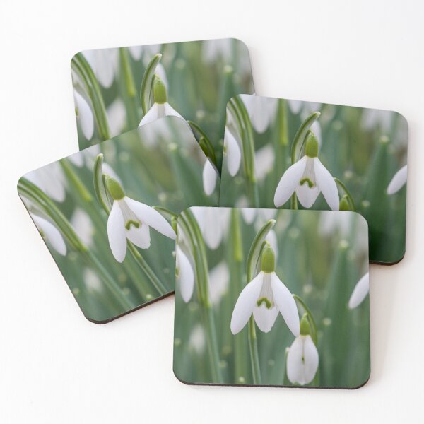 Item preview, Snowdrop flowers designed and sold by iCimages.net.