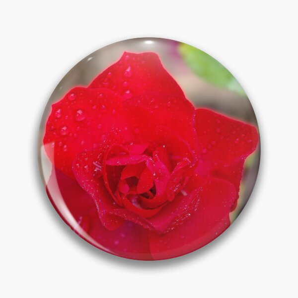Item preview, Single red rose flower designed and sold by iCimages.net.