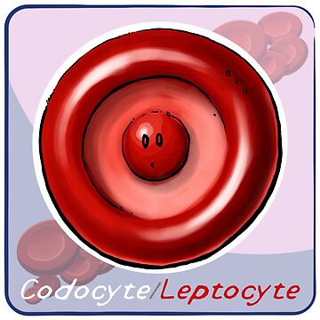 Artwork thumbnail, Codocyte by John Chilton