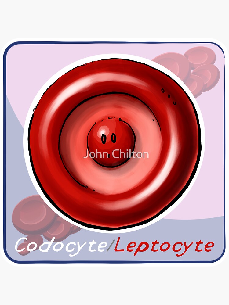 Thumbnail 3 of 3, Sticker, Codocyte designed and sold by DrawnToTheSea.