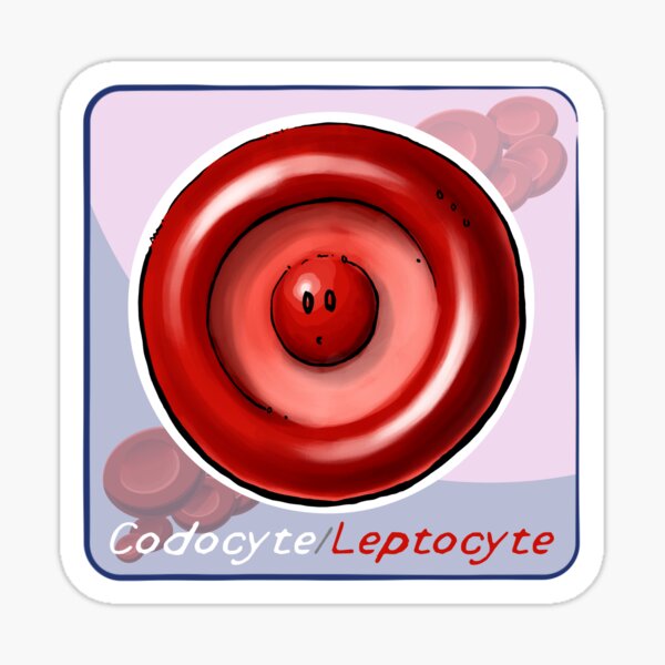 Codocyte Sticker