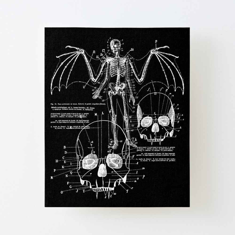 Vampire Anatomy Digital Paper, Seamless Anatomical Illustrations