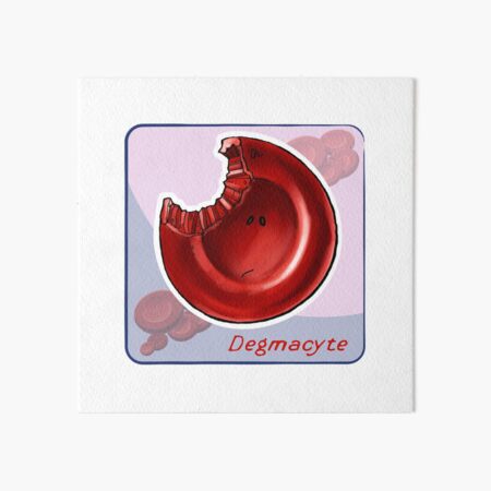Art Board Print