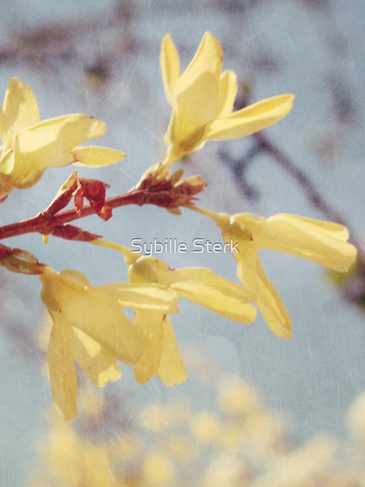 Thumbnail 4 of 4, Samsung Galaxy Phone Case, Spring Blessing designed and sold by Sybille Sterk.