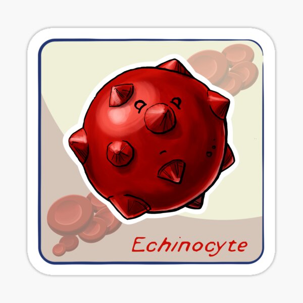 Item preview, Echinocyte designed and sold by John Chilton.