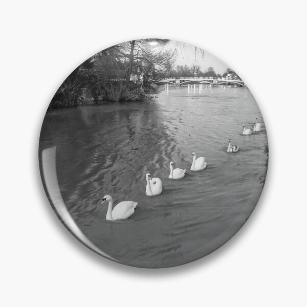 Artikelvorschau, Line of white swans on the river Thames entworfen und verkauft von iCimages.net.
