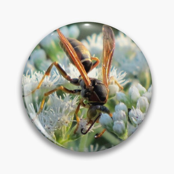 Item preview, Male Northern Paper Wasp On Boneset Flowers designed and sold by Jean Gregory Evans.